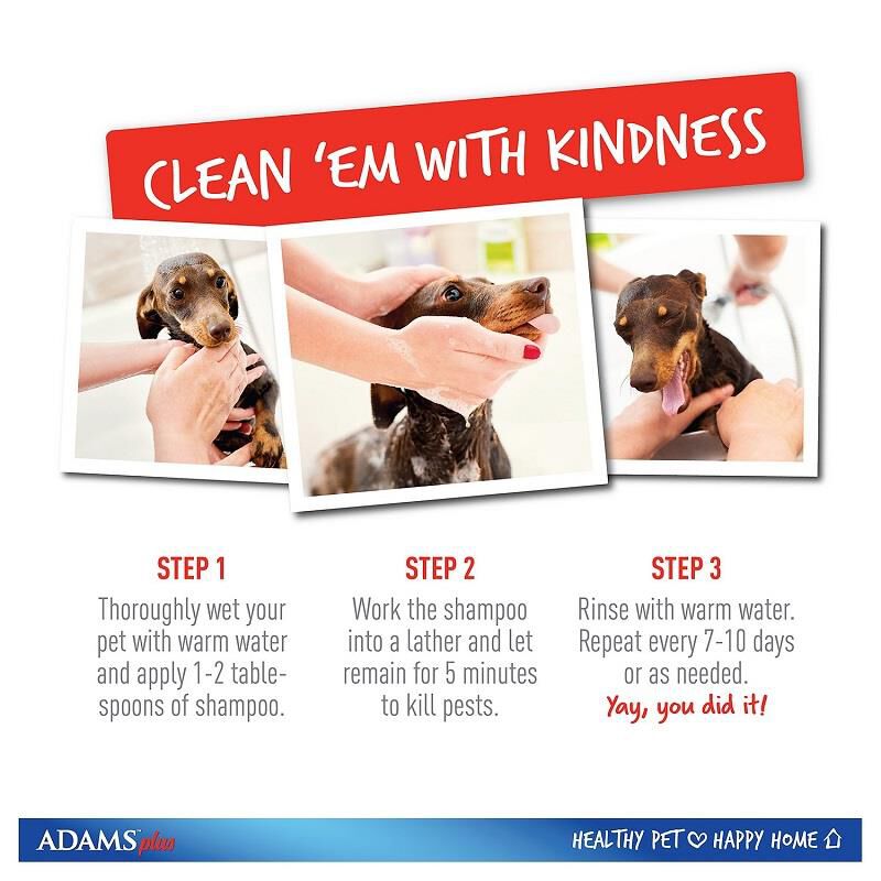 Adams plus flea and tick shampoo near sales me