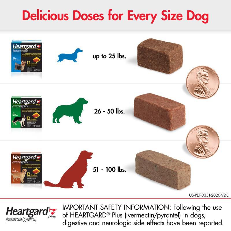 Heartgard for dogs store over 100 lbs