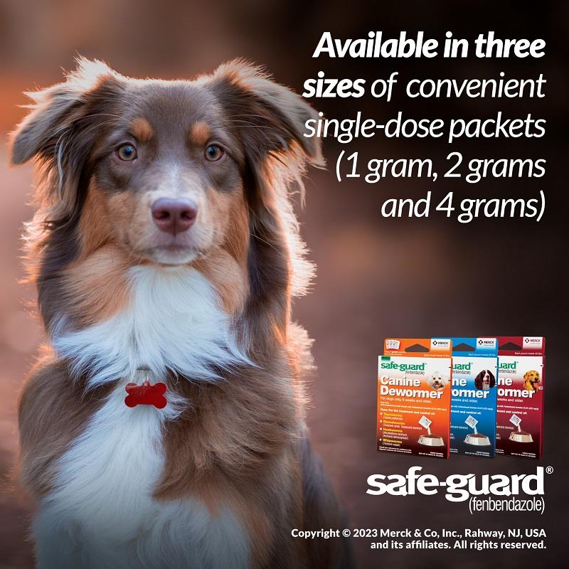 Safe-Guard Canine Dewormer1 fenbendazole | Safe-Guard for dogs