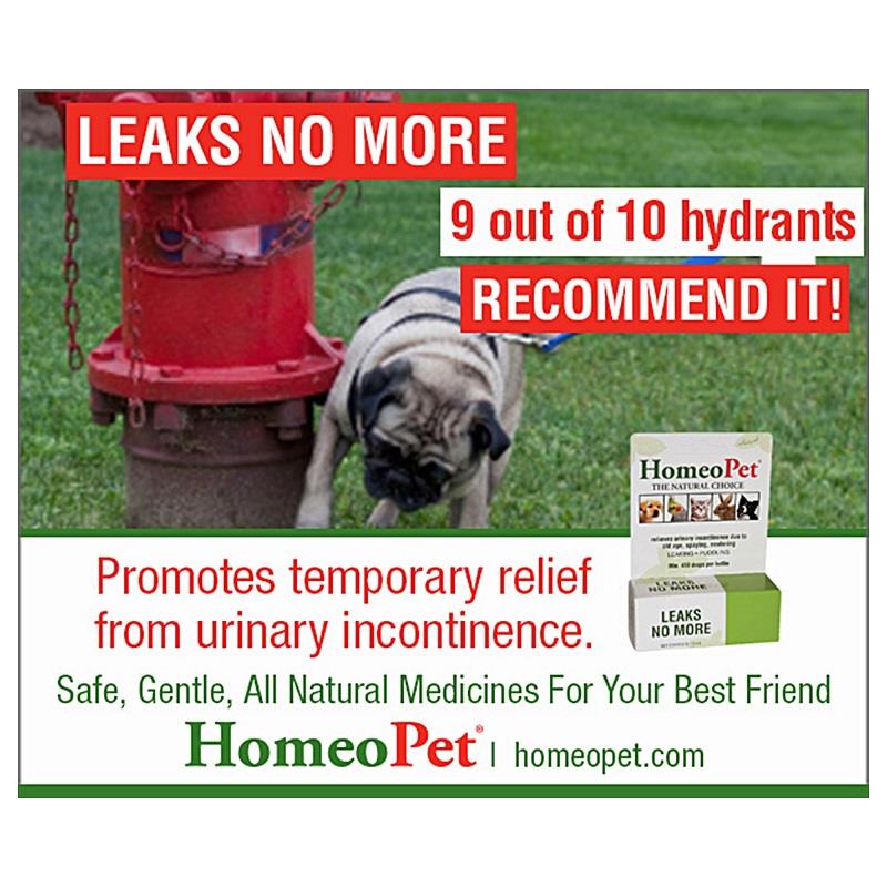 HomeoPet Leaks No More | Allivet