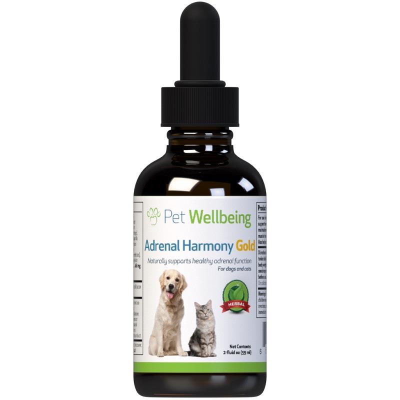 Pet Wellbeing Adrenal Harmony Gold for Dogs and Cats | Allivet