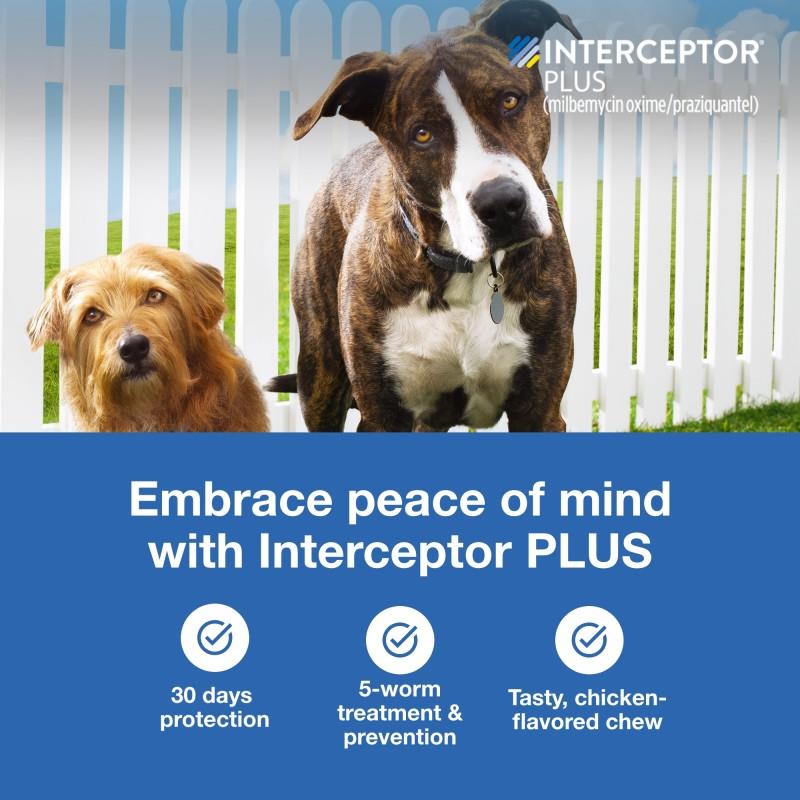 Interceptor Plus Chewable Tablets For Dogs Allivet