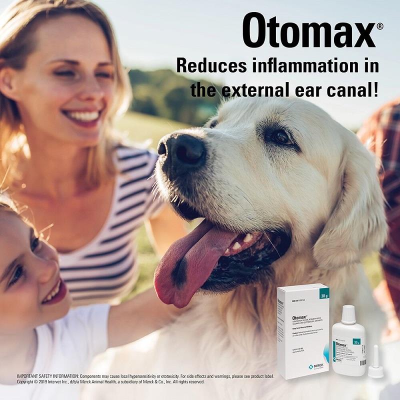 what is otomax used for in dogs