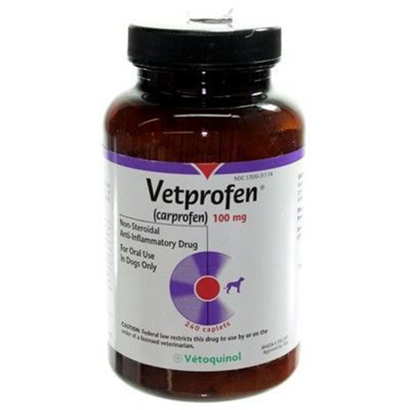 vetprofen 100mg side effects