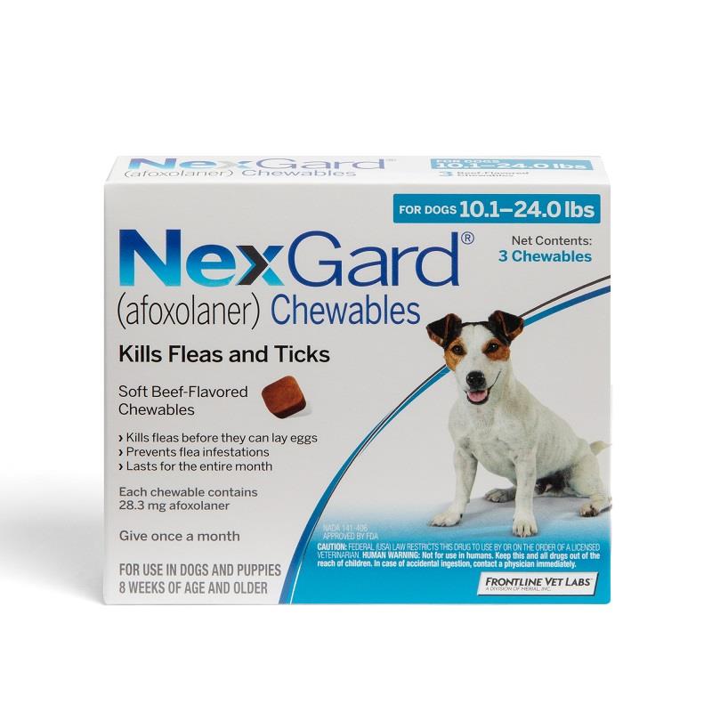 Nexgard Chewables for Dogs at Allivet 