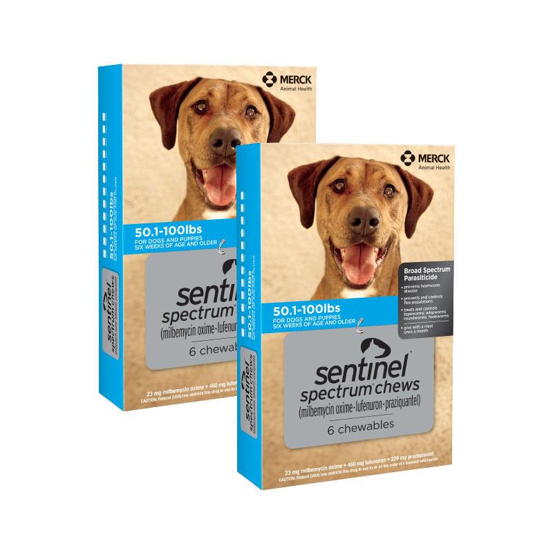 Sentinel Spectrum Tablet Affordable Sentinel For Dogs Allivet Pet Pharmacy