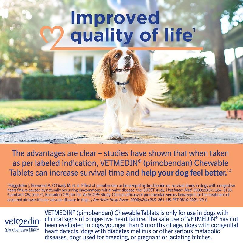 Lowest Price on Vetmedin For Dogs | 1.25, 2.5, 5, 10mg | Allivet Pet