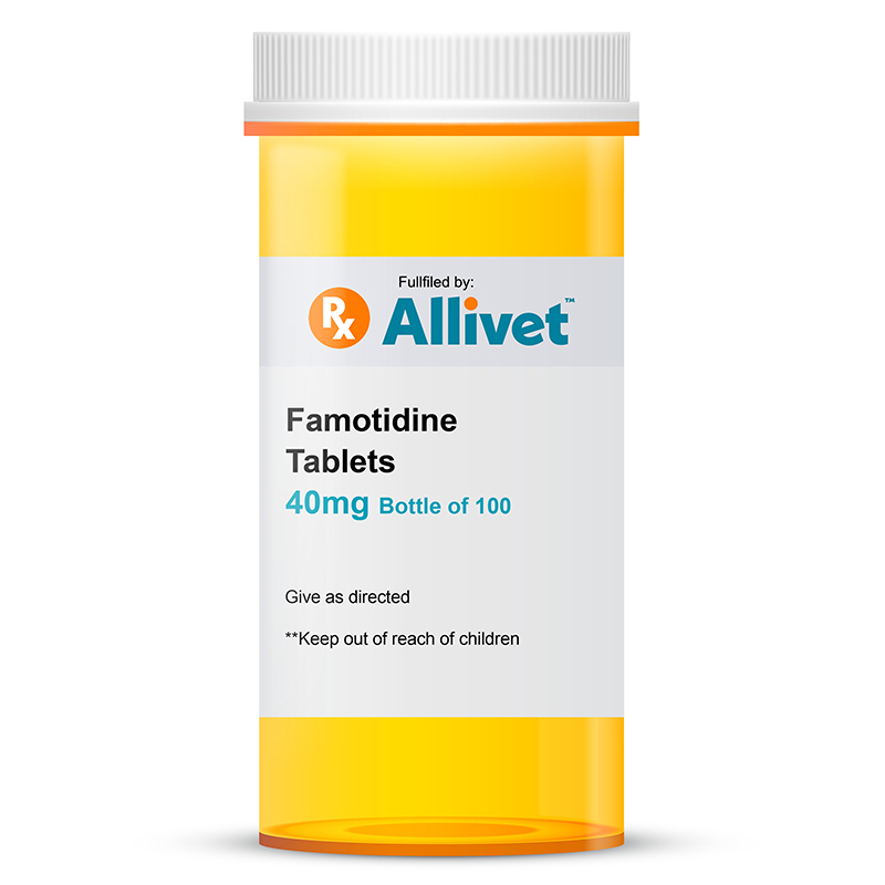 Famotidine Tablet Allivet