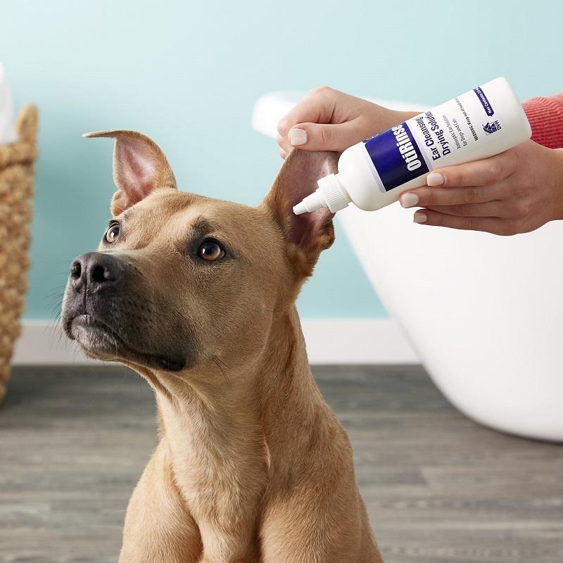 Get Ear Drying Solution for Dogs and Cats at Affordable Price