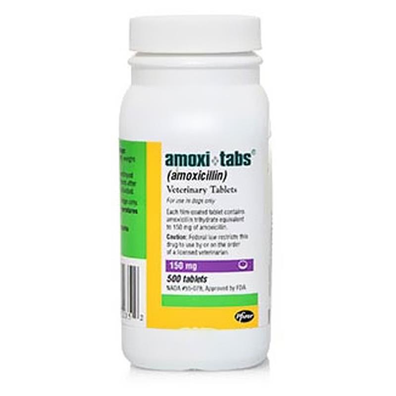 Amoxi Tabs Amoxicillin 100mg 400mg For Dogs Cats Allivet