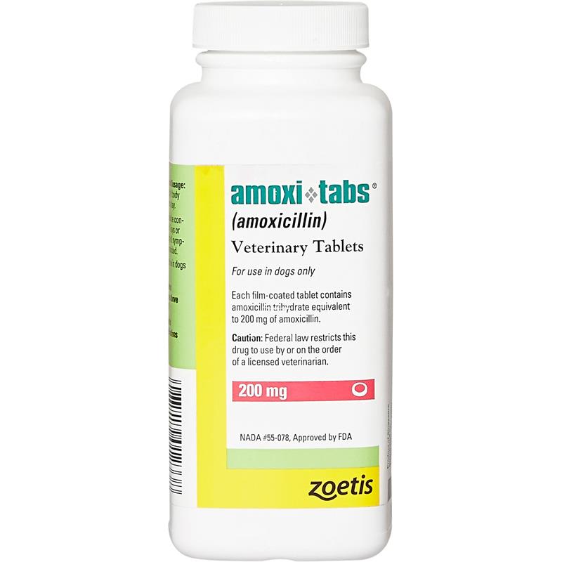 Amoxi Tabs Amoxicillin 100mg 400mg For Dogs Cats Allivet