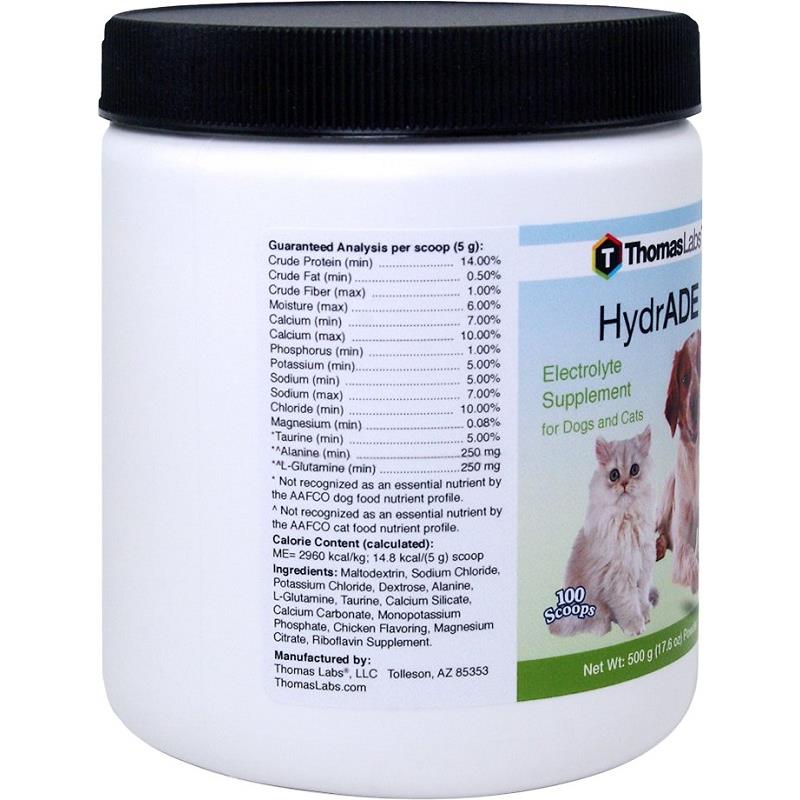 Electrolytes For Dogs