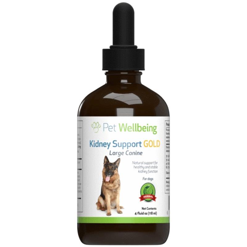 Pet Wellbeing Kidney Support Gold for Dogs and Cats Allivet