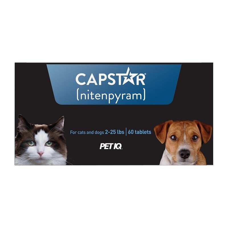 capstar flea pills for cats