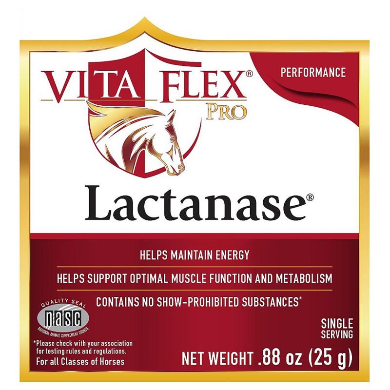 Lactanase for horses | Order Equine Lactanase Supplement