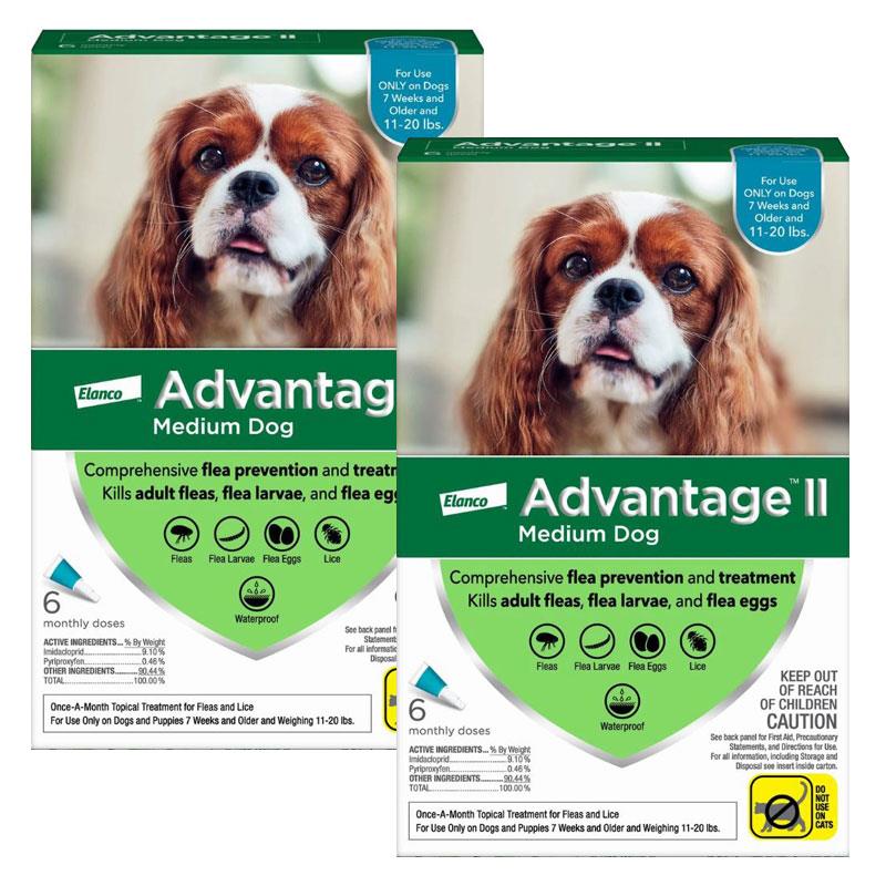 advantage-for-dogs-pet-medicines-and-food-from-evans-pharmacy-uk