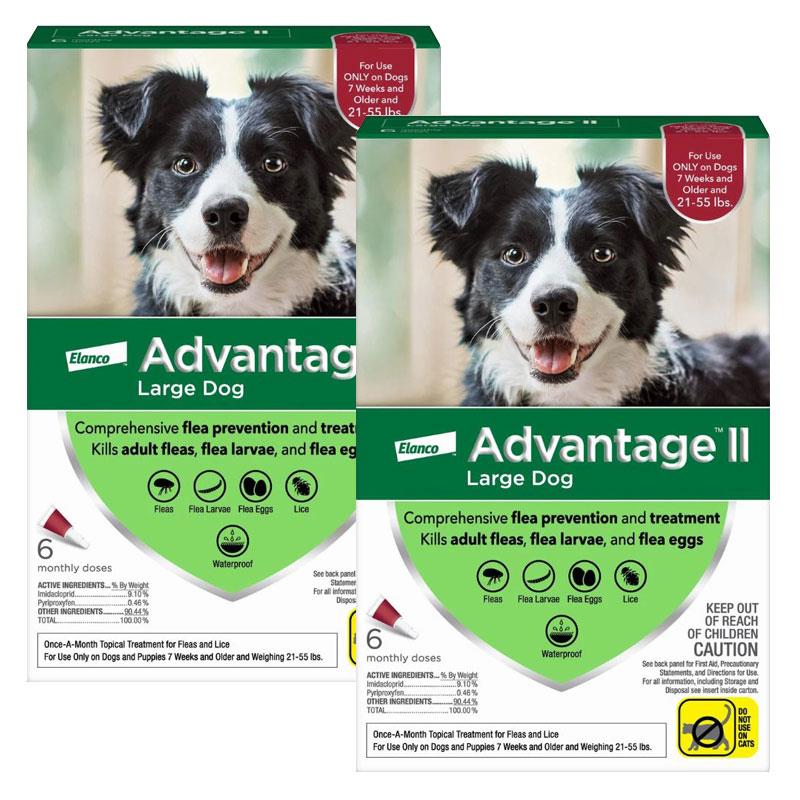 advantage-ii-for-dogs-allivet