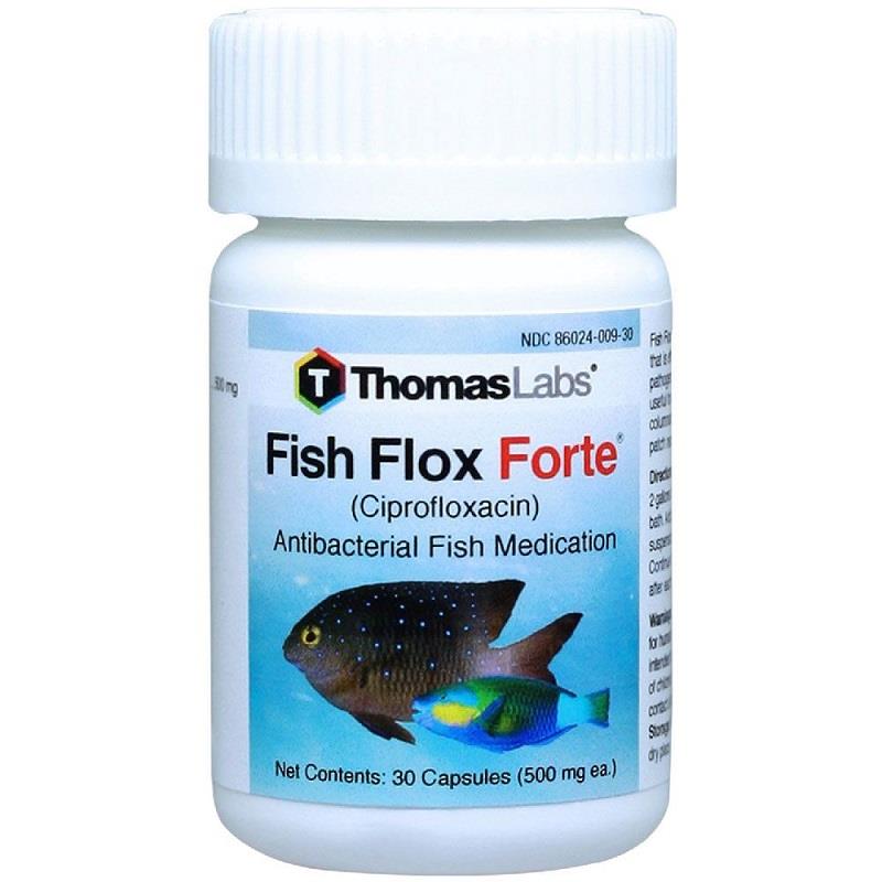 Buy Fish Flox Ciprofloxacin for Fish at the Best Price