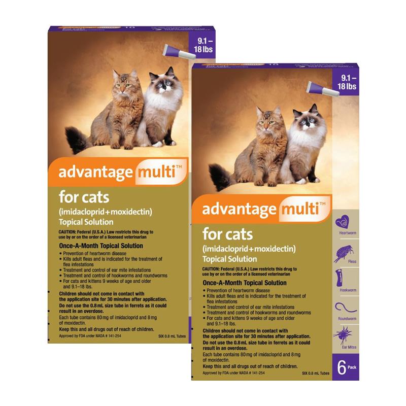 Advtanage Multi for Cats &amp; Kittens Bayer Topical Solution Allivet