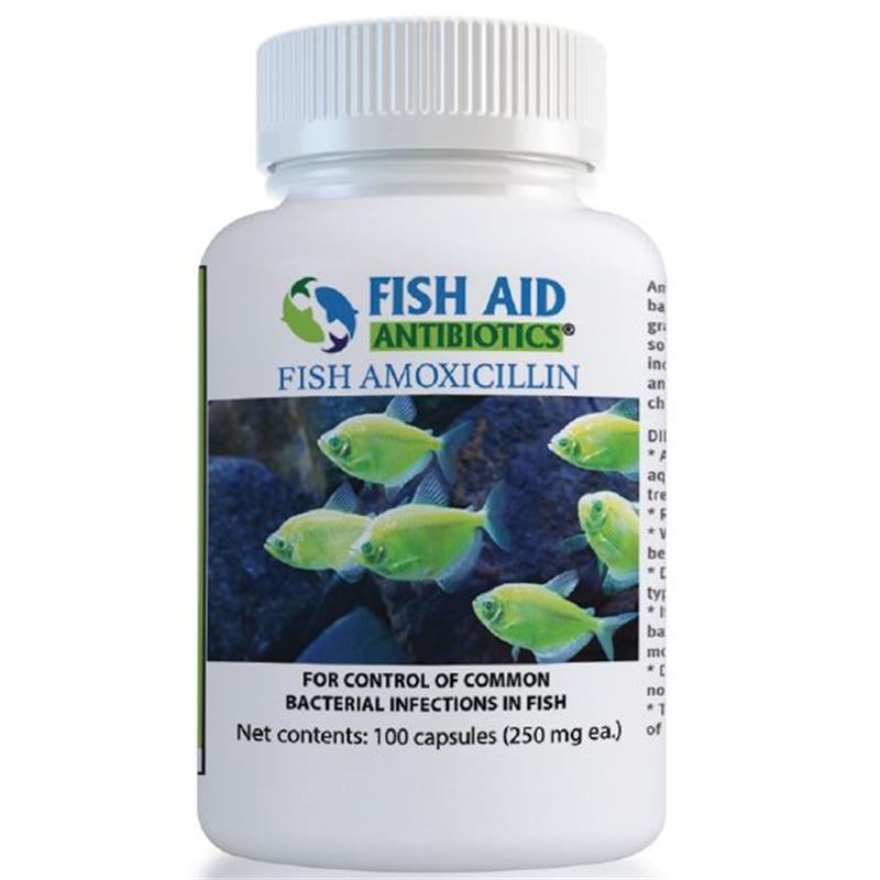 Fish Aid Antibiotics Amoxicillin Capsules