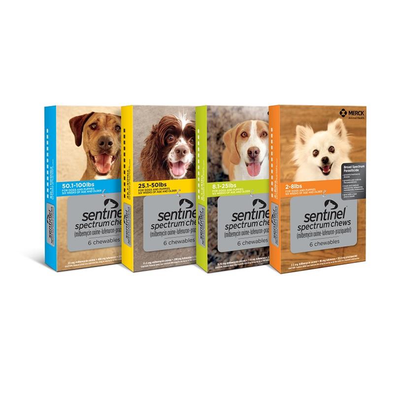 Shops otc heartworm medicine for dogs