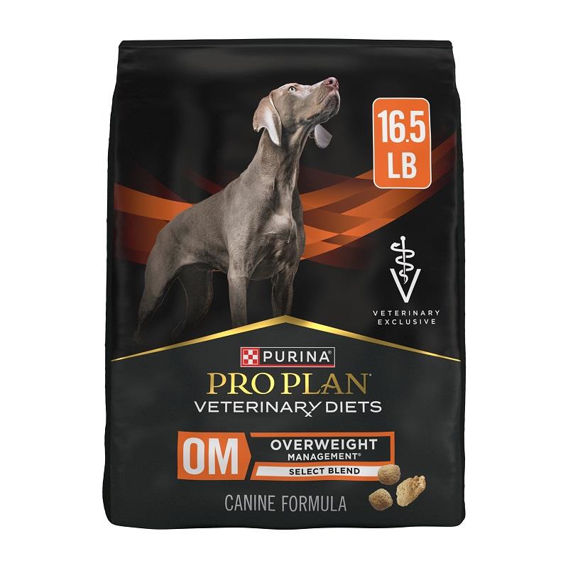 Pro plan om dog food best sale