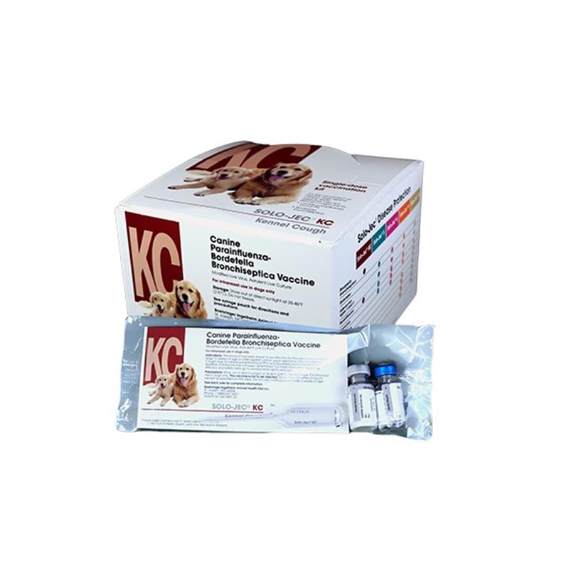 Bordetella parainfluenza hot sale