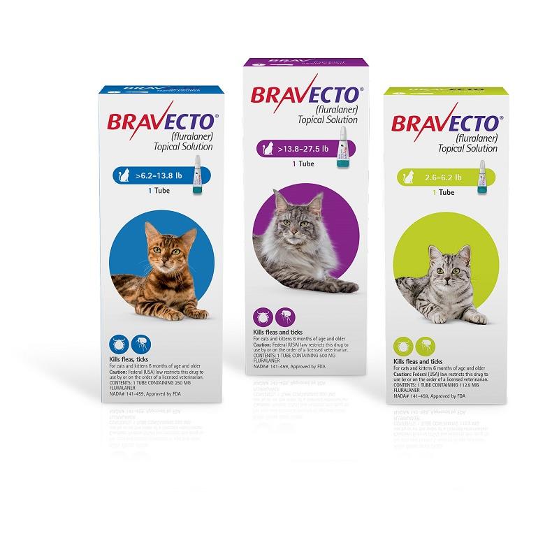 Bravecto feline store