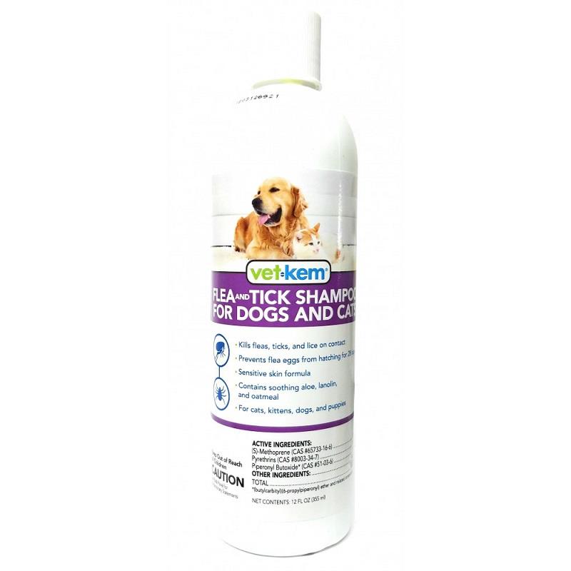 Does dog flea shampoo kill clearance lice