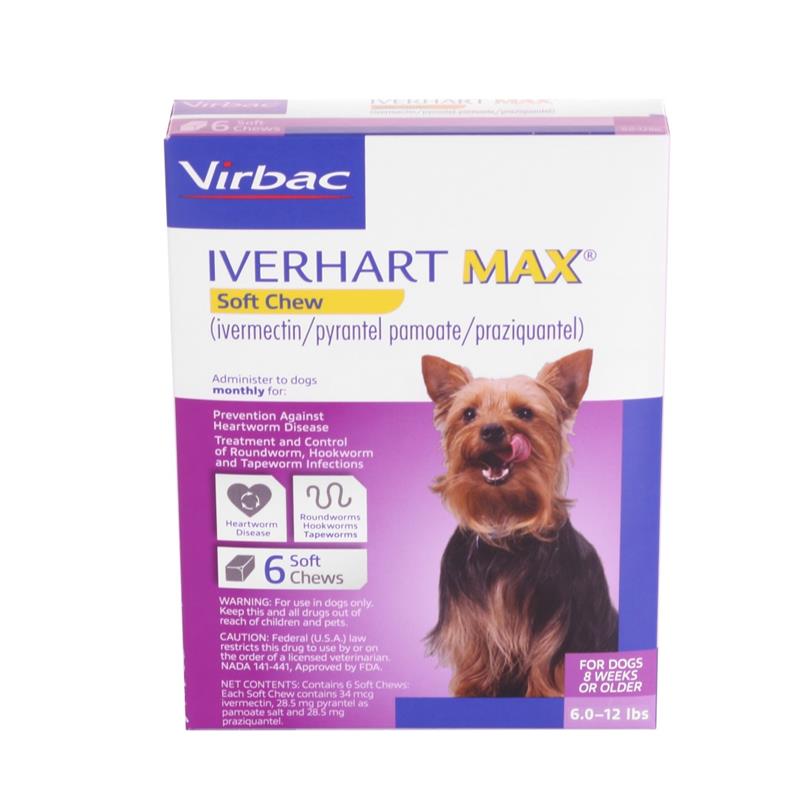 Iverhart Max Vs Heartgard Plus Comparing Heartworm Medications Allivet